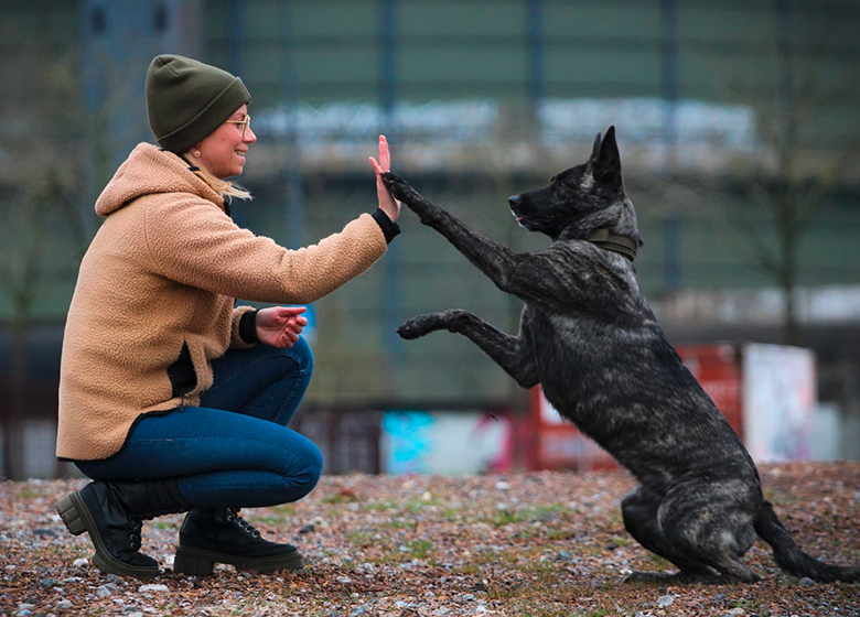 Co-Trainerin Mandy bei der Hundeschule Team Spirit